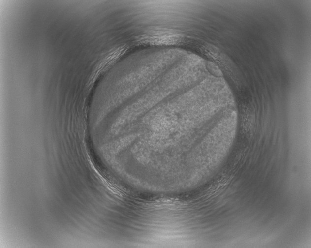 X0000051890586200507222018