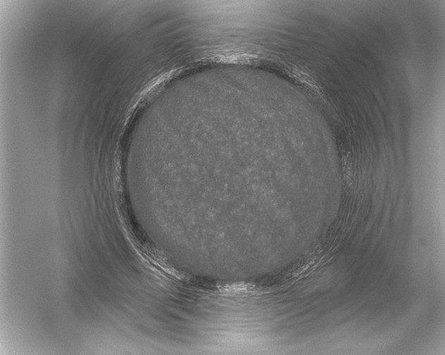 X0000051890587200507222018