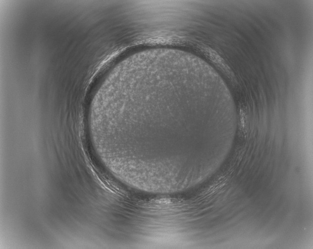 X0000051890588200507222018