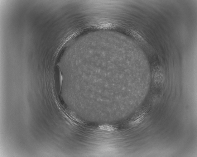 X0000051890591200507222018