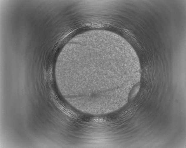 X0000051890596200507222018