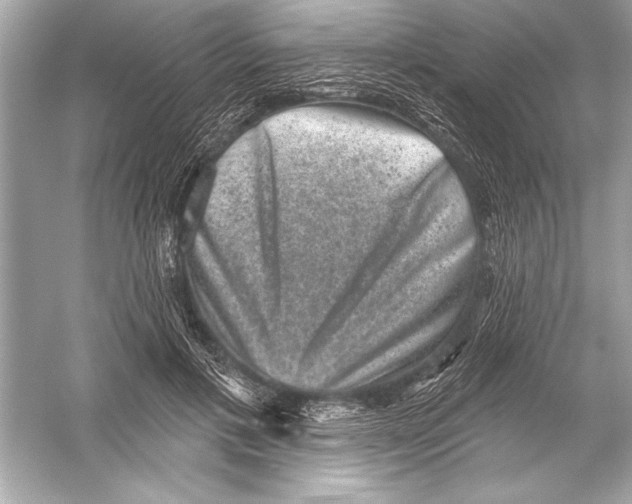 X0000051890597200507222018