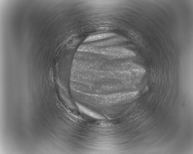 X0000051890601200507222018