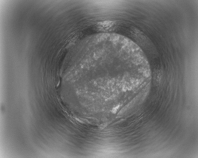 X0000051890602200507222018