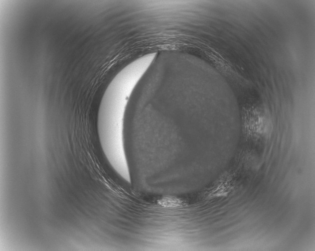 X0000051890603200507222018