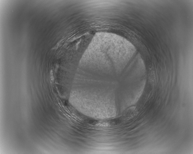 X0000051890604200507222018