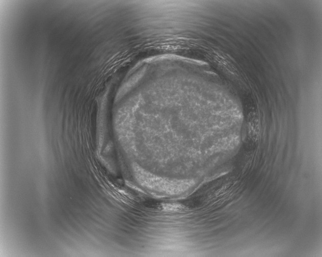 X0000051890605200507222018