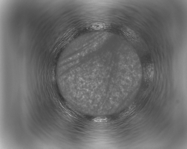 X0000051890606200507222018