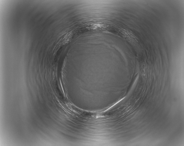 X0000051890607200507222018