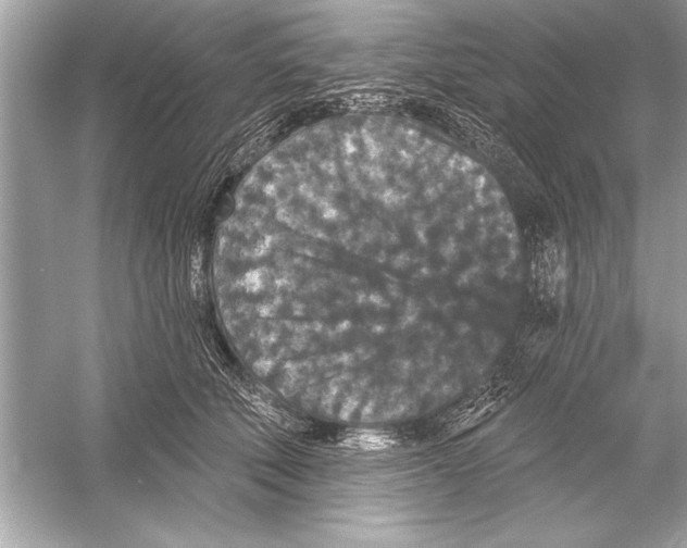 X0000051890610200507222017