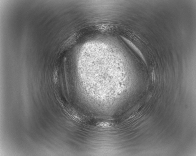 X0000051890611200507222017