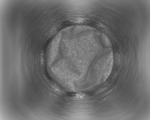 X0000051890612200507222017