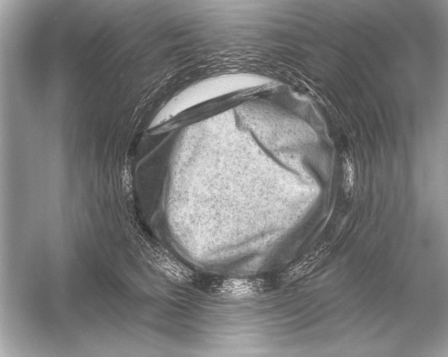 X0000051890613200507222017