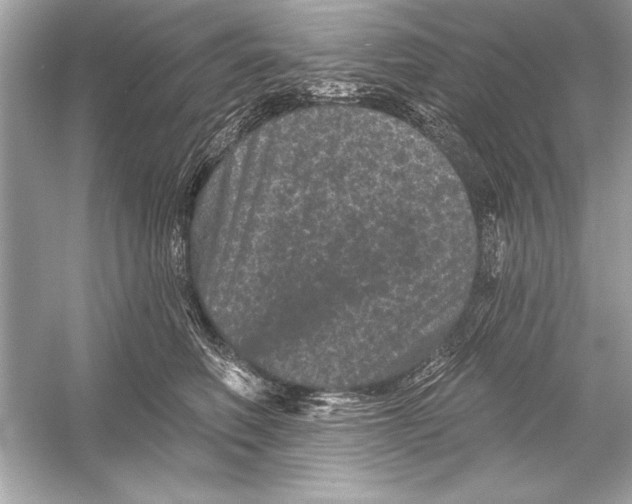 X0000051890614200507222017