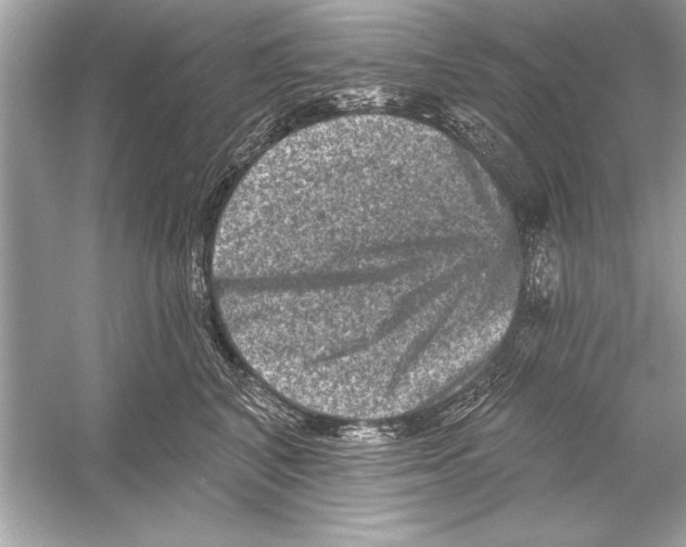 X0000051890616200507222017