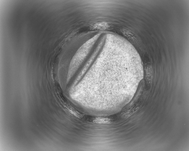 X0000051890617200507222017