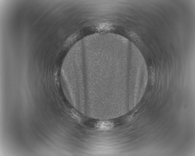 X0000051890619200507222017