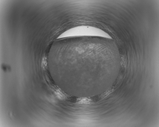 X0000051890621200507222017