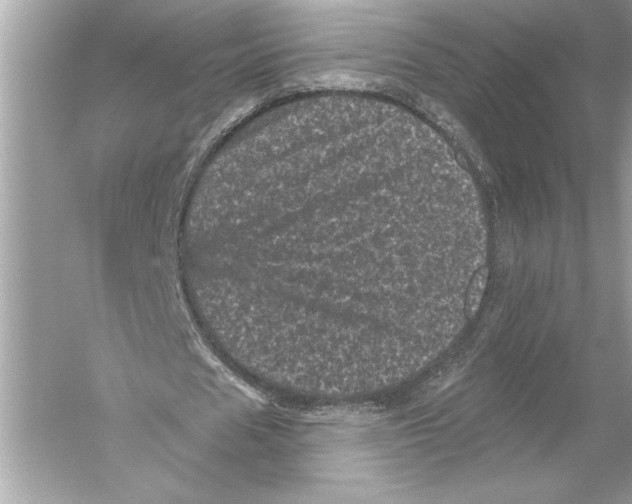 X0000051890625200507222016