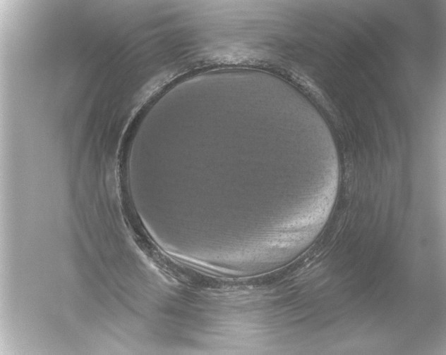 X0000051890626200507222016