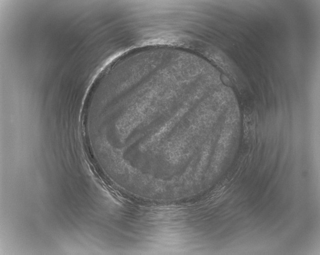 X0000051890628200507222016