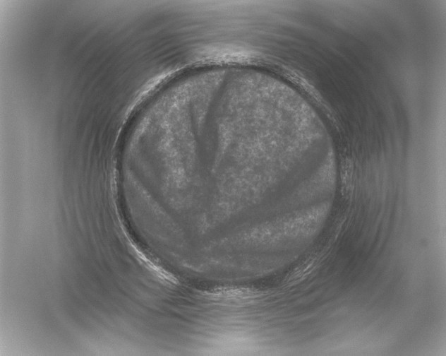 X0000051890629200507222016