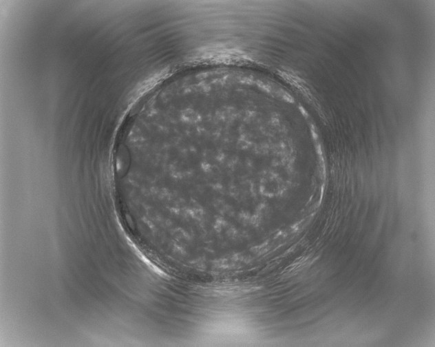 X0000051890630200507222016