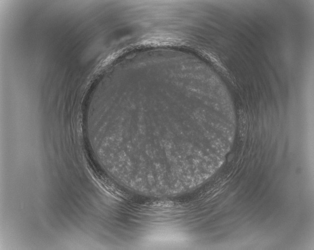 X0000051890631200507222017