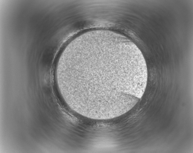 X0000051890632200507222017