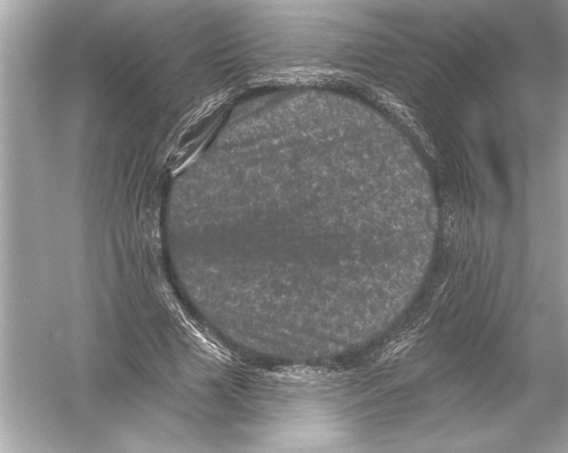 X0000051890633200507222017