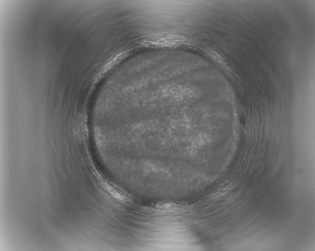 X0000051890634200507222017