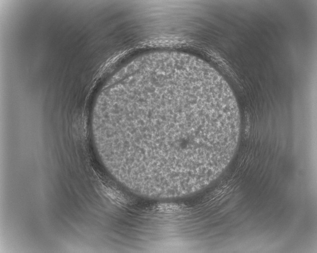 X0000051890636200507222017