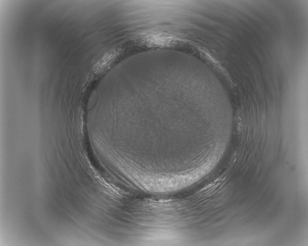 X0000051890637200507222017