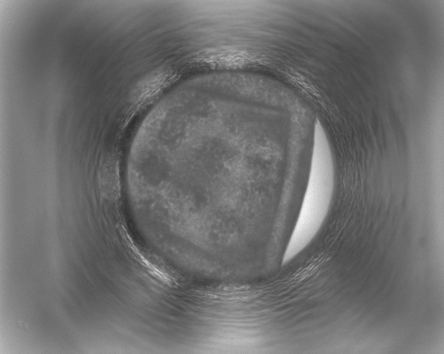 X0000051890638200507222017