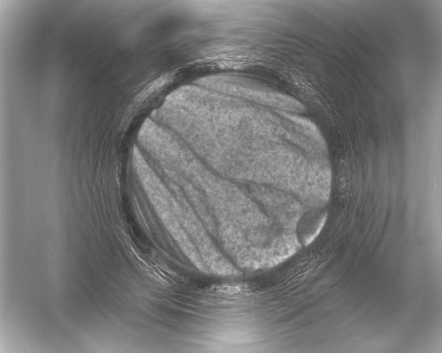 X0000051890639200507222017