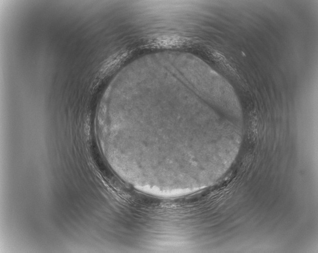 X0000051890640200507222017