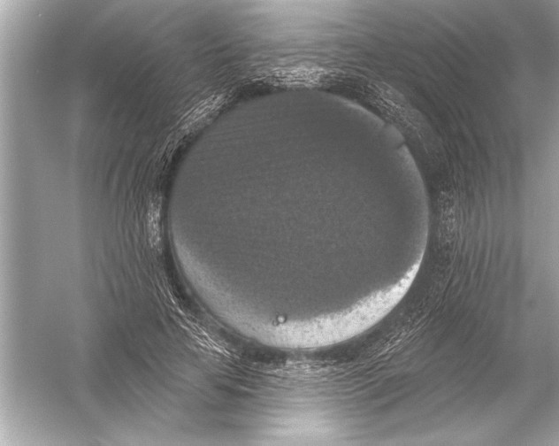 X0000051890641200507222017