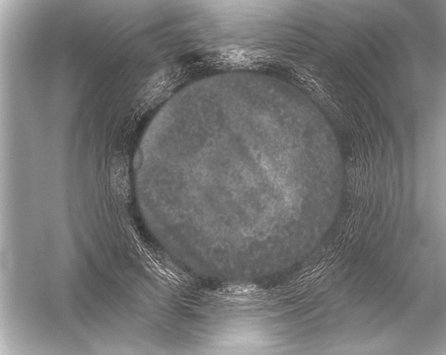 X0000051890642200507222017