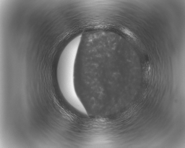 X0000051890643200507222017