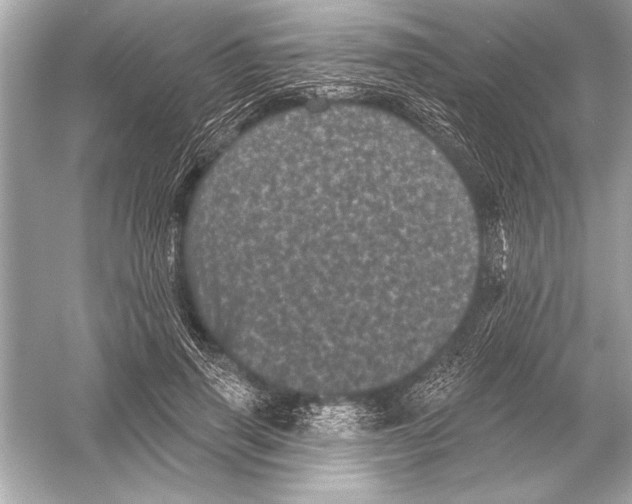 X0000051890645200507222017