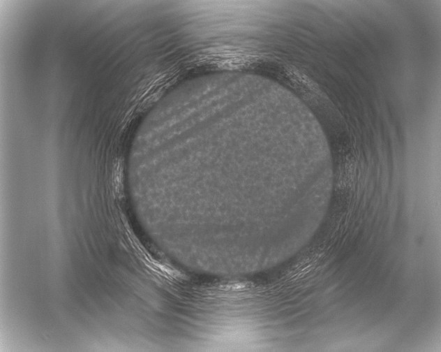 X0000051890646200507222017