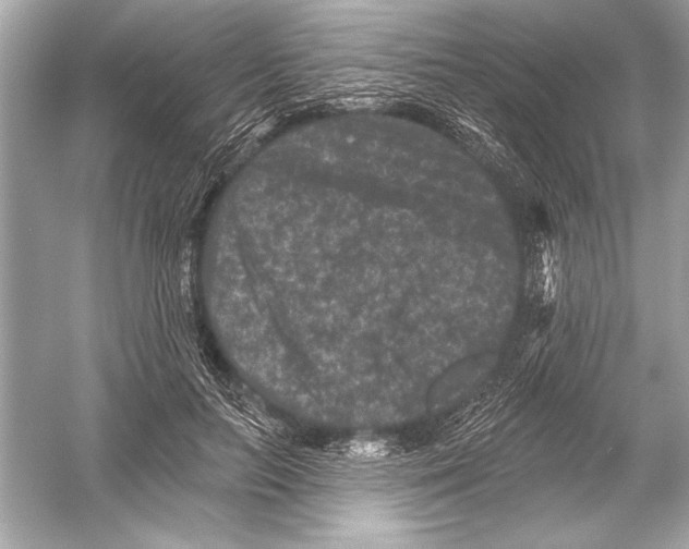 X0000051890647200507222017