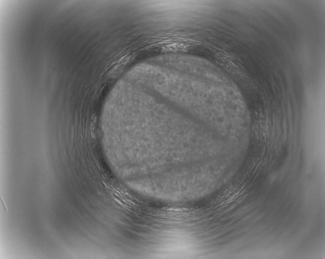 X0000051890649200507222017