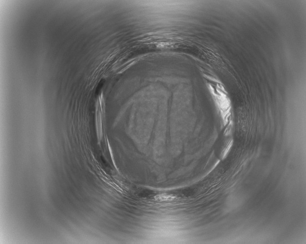 X0000051890650200507222017