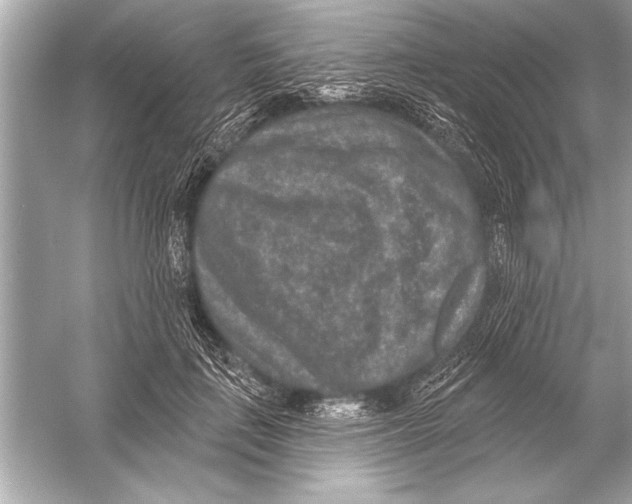 X0000051890651200507222017