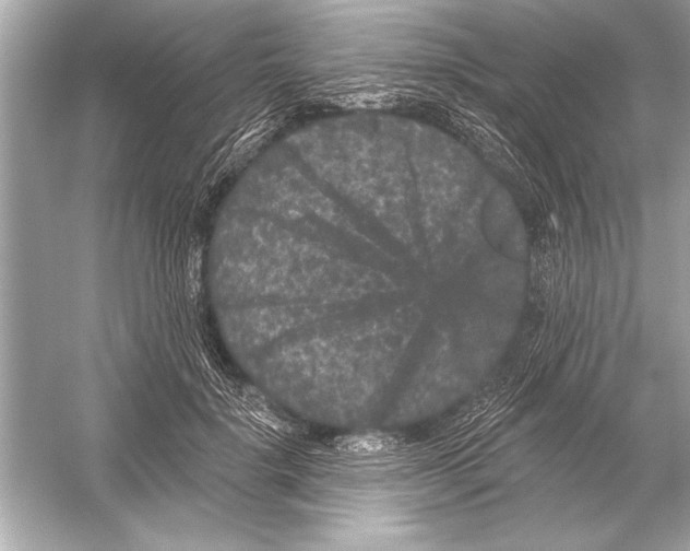 X0000051890652200507222017