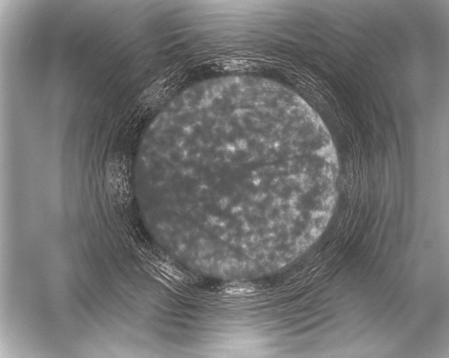 X0000051890653200507222017