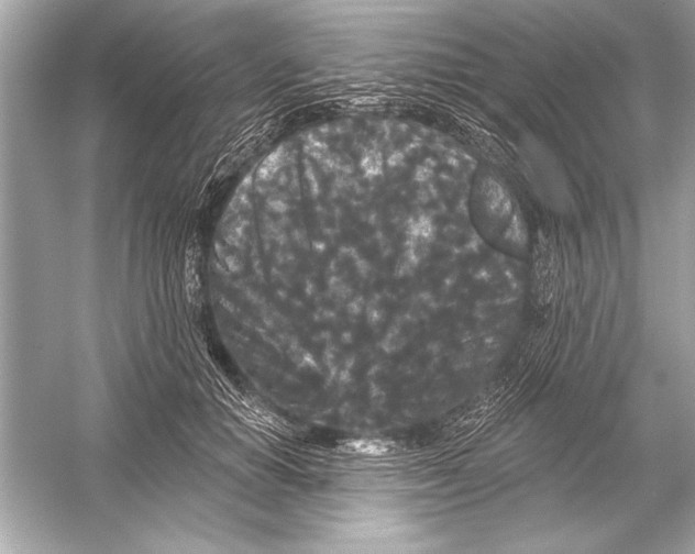 X0000051890654200507222017