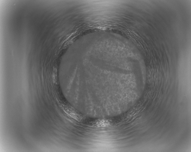 X0000051890656200507222017