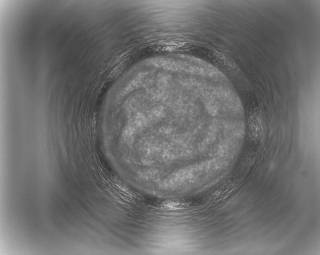 X0000051890657200507222017